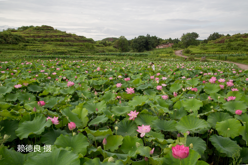 03-赖德良-007(1).jpg