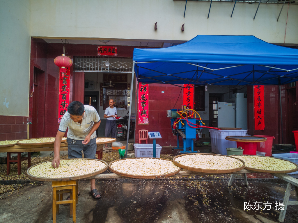 19-陈东方-016(1).jpg