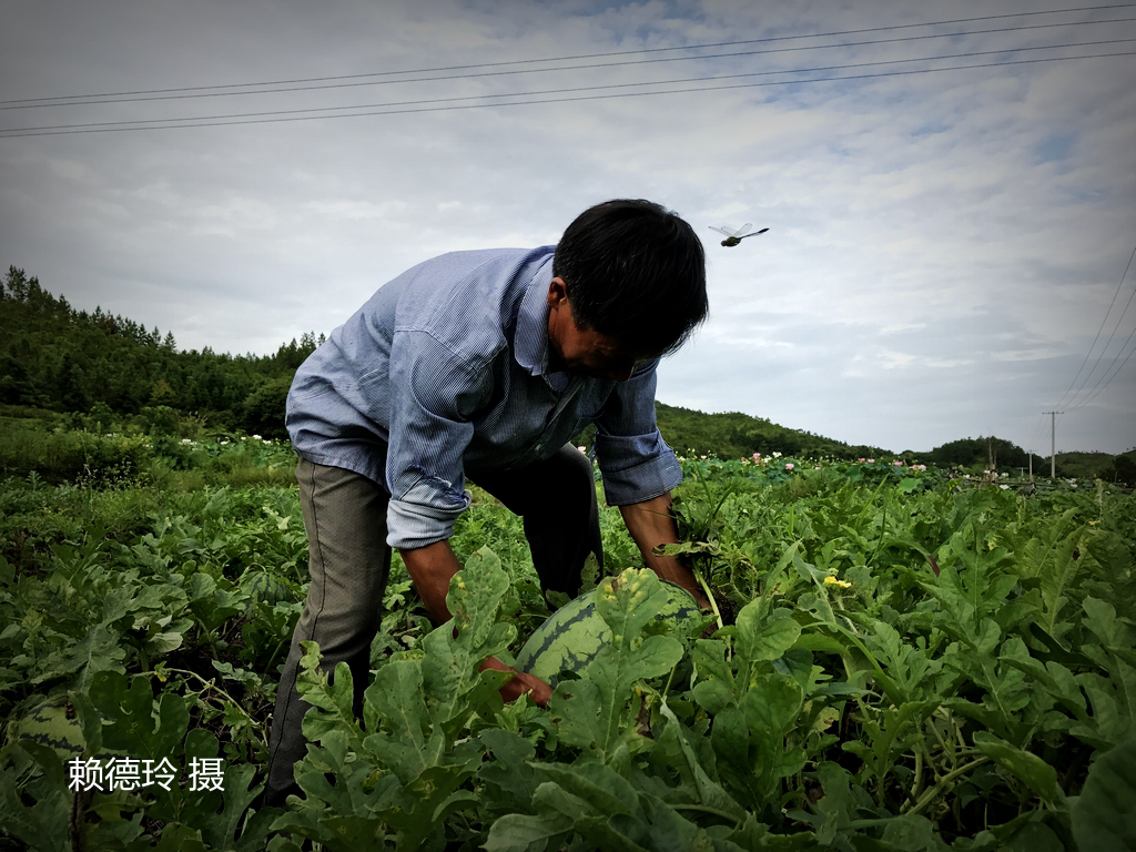 28-赖德玲-013(1).jpg