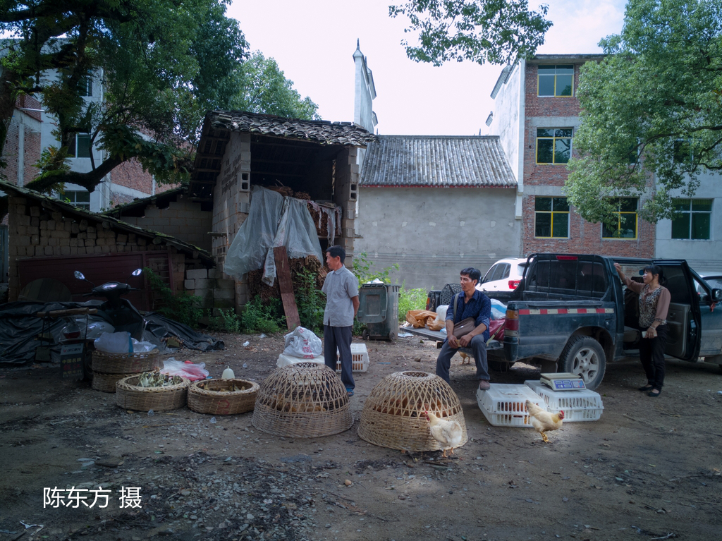 35-陈东方-013(1).jpg